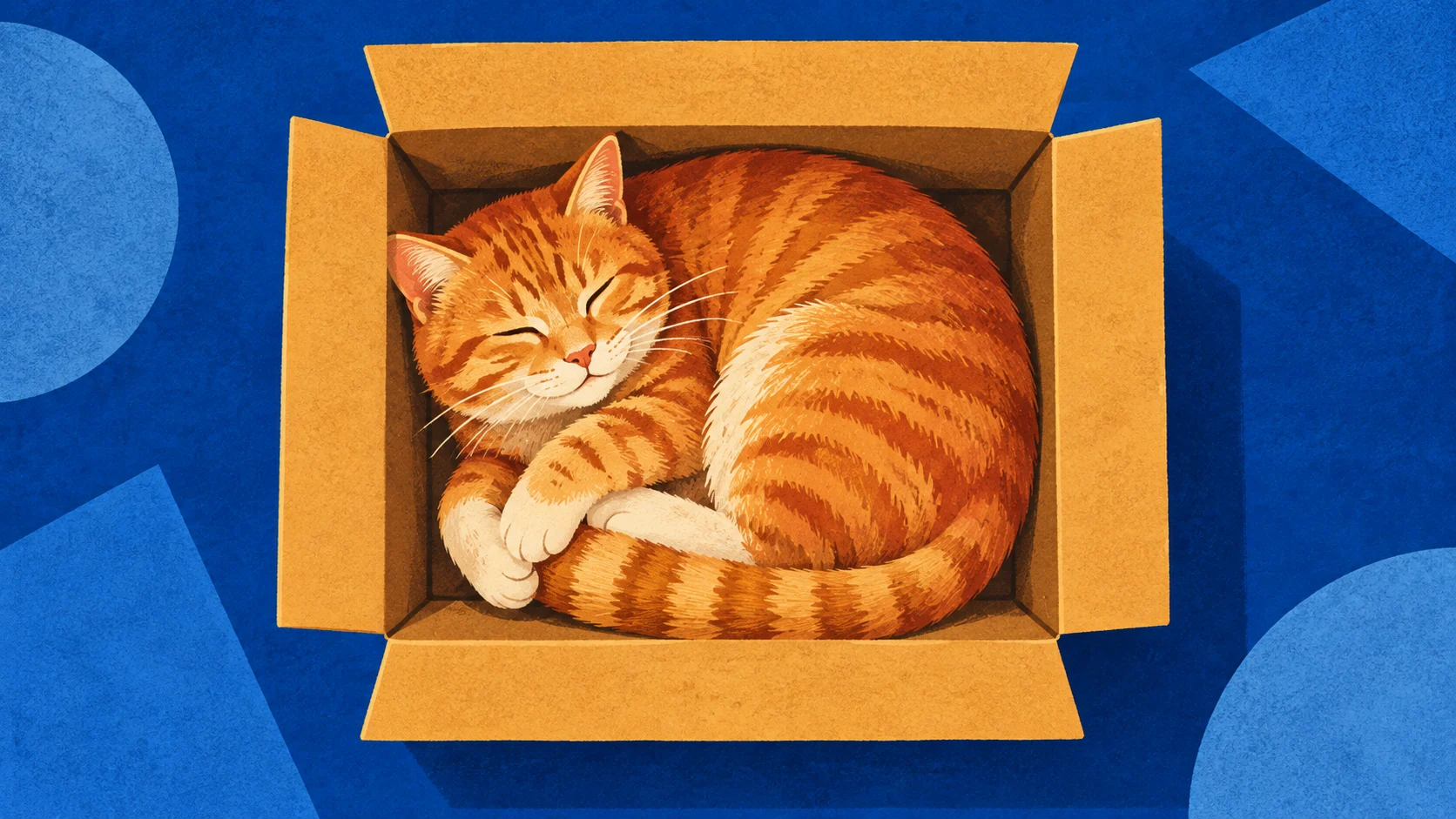 A ginger cat asleep in a cardboard box, seen from above against a blue background.